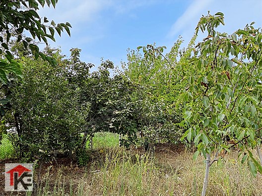 KARADENİZ EMLAKTAN İNCESUDA KİRALIK 549 MT ARSA VE BAĞ EVİ Kiralık