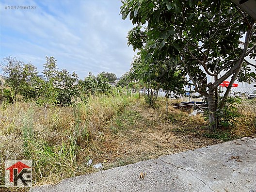 KARADENİZ EMLAKTAN İNCESUDA KİRALIK 549 MT ARSA VE BAĞ EVİ Kiralık