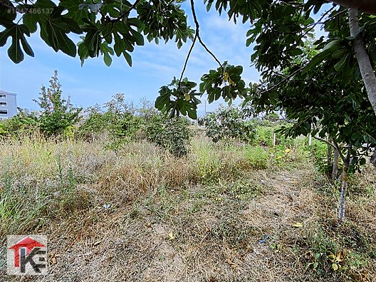 KARADENİZ EMLAKTAN İNCESUDA KİRALIK 549 MT ARSA VE BAĞ EVİ Kiralık