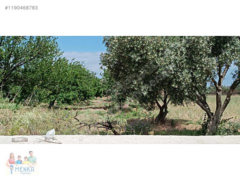 Manisa Turgutlu Manisa Yolu 9.Mıntıka Satılık 9689...