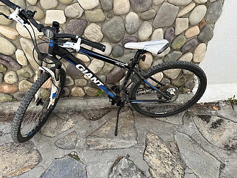 Giant revel 1 clearance mountain bike