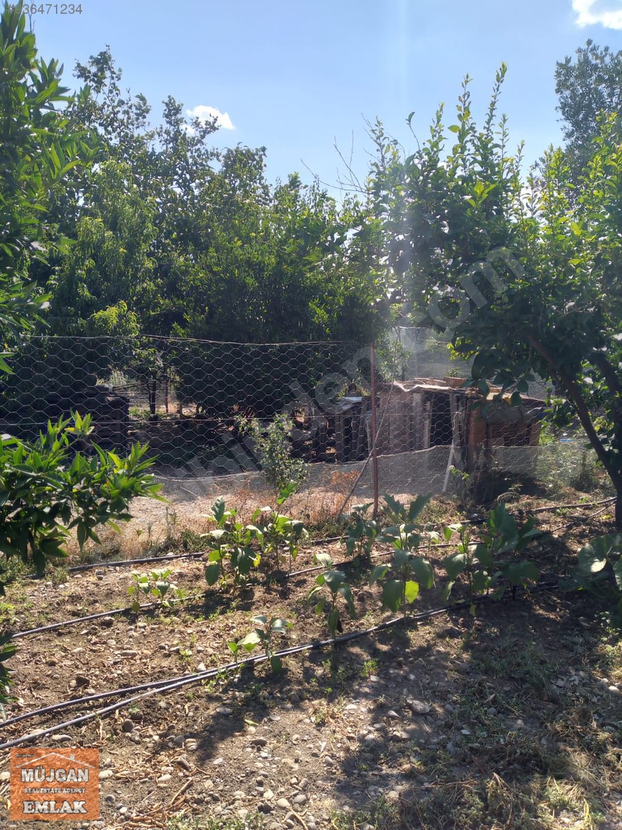 MÜJGAN EMLAK�TAN MUĞLA KÖYCEĞİZ DÖĞÜŞBELEN�DE MÜSTAKIL EV Satılık