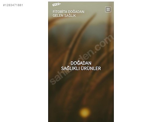 Used & Brand New Items / Computers / Domains, Hosting & Software / Domains