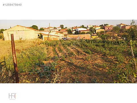 Lüleburgaz Kayabeyli Köyü hisseli 466 m2