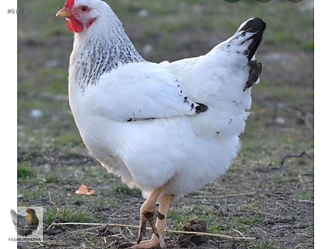 nqw8ireojpoq8m nqw8ireojpoq8m