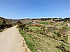BURSA YENİŞEHİR CİHADİYE YOLA CEPHE VERİMLİ TARIM ARAZİSİ