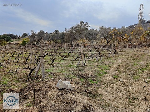 kale den tarsus kakliktasi mah de 1 750m2 tek tapu kelepir tarla satilik arsa ilanlari sahibinden com da 975479517