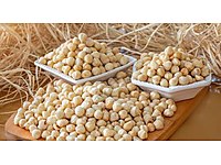 Kavrulmuş Fındık ve Kestane balı 2025 sezon sipariş