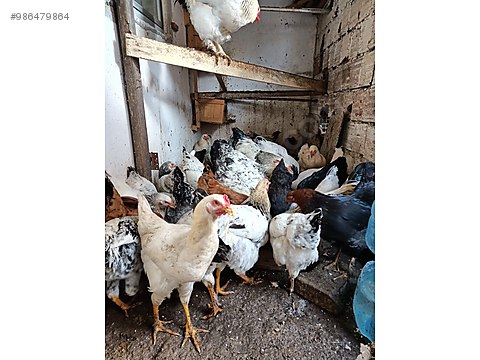 h1gn9asdxpvz3m h1gn9asdxpvz3m