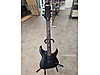 Schecter Elektro Gitar