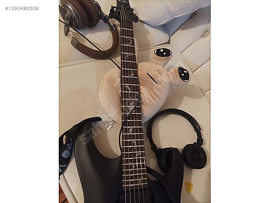 Schecter Elektro Gitar