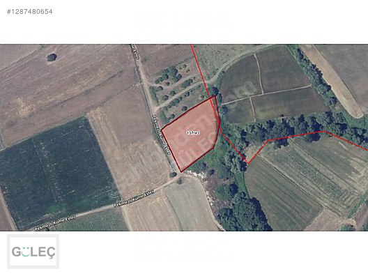 ÇANAKKALE BİGA PEKMEZLİ 3,5 DÖNÜM SATILIK TARLA