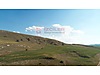BATI BAĞLICA DA 2.30 EMSALDE KAT KARŞILIĞI ARSA - Yapracık Mh. Emlak Ofisinden Kat Karşılığı Satılık Arsa - 1247480720