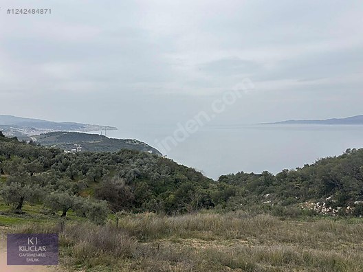 KILIÇLAR GAYRİMENKULDEN ALTINTAŞ FULL DENİZ GÖREN 1 DÖNÜM TARLA #1242484871