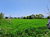BURSA YENİŞEHİR KOZDERE YOLA CEPHE VERİMLİ TARIM ARAZİSİ