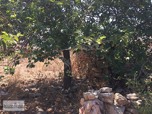 Yalıçiftlik�te İçinde Taş Ev olan 40/80 İmarlı 675 m2 Arsa Satılık