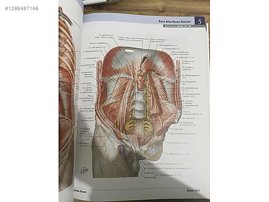 Used & Brand New Items / Books, Magazines & Movies / Information & Reference Books / Health & Medicine