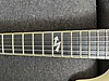 Schecter Elektro Gitar