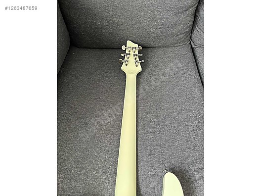 Schecter Elektro Gitar