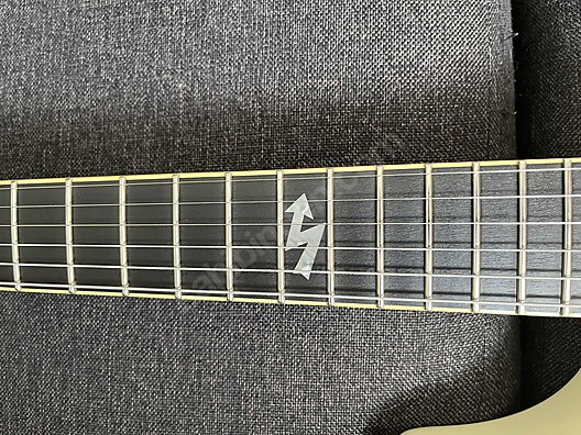 Schecter Elektro Gitar