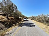 BOYUT'TAN EDREMİT DELİ KÖYÜ YOL CEPHELİ SATILIK ZEYTİNLİK