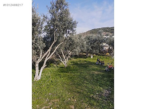 TİRE PINAR EMLAKTAN SATILIK KÖY EVİ Satılık Müstakil Ev İlanları