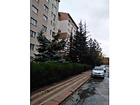 Eskisehir Kiralik Daire Fiyatlari Ve Kiralik Ev Ilanlari Sahibinden Com