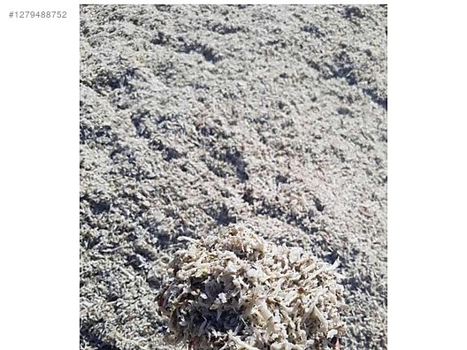 Pets & Livestock / Foods & Feeds / Small & Large Livestock / Feed