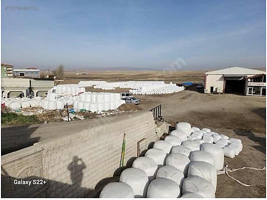 Pets & Livestock / Foods & Feeds / Small & Large Livestock / Feed