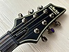 Schecter Elektro Gitar