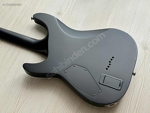 Schecter Elektro Gitar