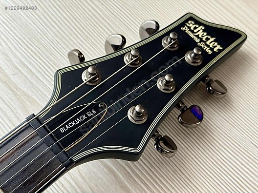 Schecter Elektro Gitar