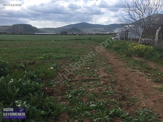 mugla milas dogru gayrimenkul emlak ilanlari sahibinden com da