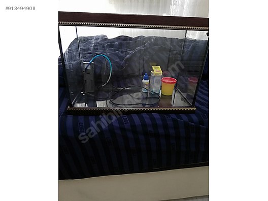 akvaryum 30 lt sahibinden comda 913494908