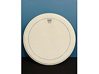 Remo Weatherking Pin Stripe 14 İnç Trampet Üst Derisi #1269497116