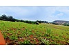 TUNCELİ MERKEZ HARÇİK BÖLGESİ ALT YAPISI HAZIR TEK TAPU ARSA