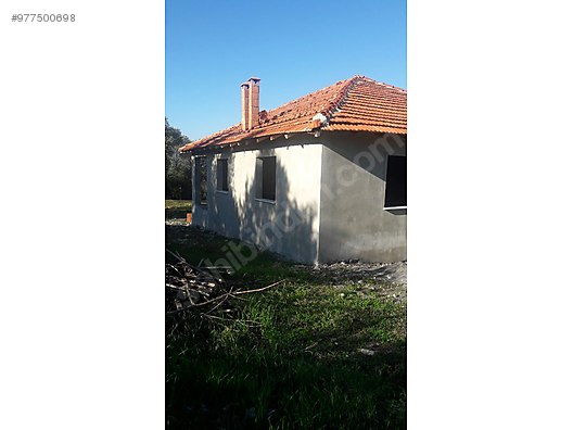 koycegiz zeytinalani satilik mustakil ev satilik mustakil ev ilanlari sahibinden com da 977500698
