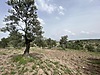 BALIKESİR GÖMEÇ KEREMKÖYDE DENİZ GÖREN İMAR DİBİ SATILIK ARAZİ
