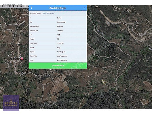 OSMANGAZİ ULUÇAM'DA ,ÇAM KOKUSU İÇİNDE BAĞ
