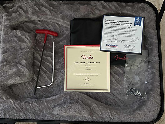 Fender Elektro Gitar