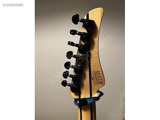 Schecter Elektro Gitar