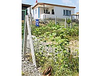 Sirkeli Yesilova Mh Satilik Arsa Ilanlari Ve Fiyatlari Sahibinden Com Da 3