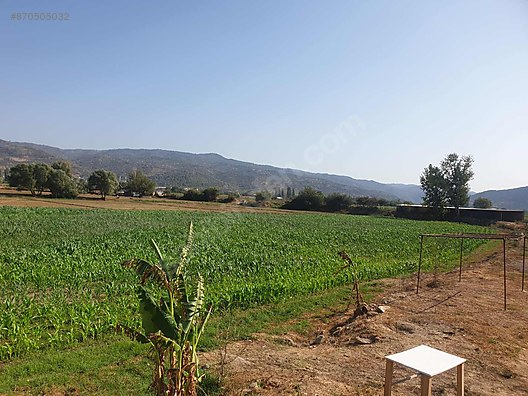 Min Gayrimenkulden 9 Donum Arsa Satilik Arsa Ilanlari Sahibinden Com Da 870505032