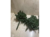 Temiz Yılbaşı ağacı +3m