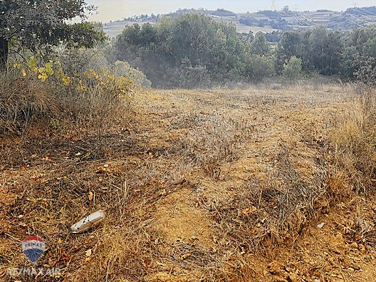 SAKARYA KAYNARCA EĞRİOĞLU MAH. 800 M² SATILIK