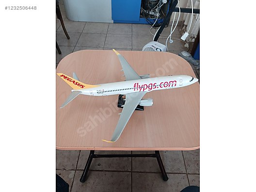 fly pgs yazılı at 1232506448