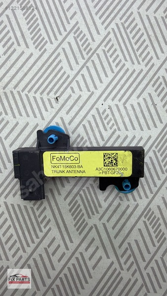 Ford Transit Beyin