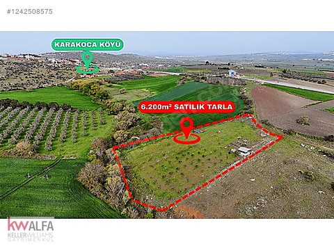 KARAKOCA'DA KÖY YANI 6200 m² TEL ÖRGÜLÜ BAKIMLI FIRSAT TARLA!!!