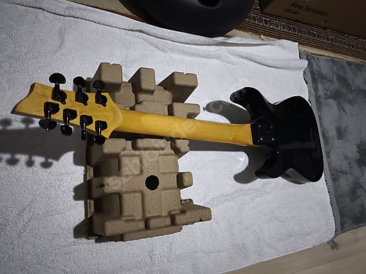 Schecter Elektro Gitar