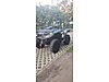 Can-Am Outlander Pro XU HD7 HATASIZ